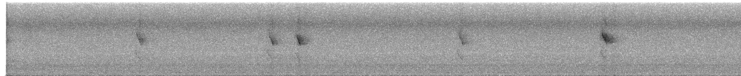 sølvbryntapakulo - ML630630042