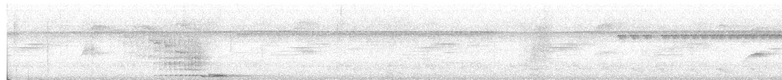 チャバラオオツリスドリ - ML630631905