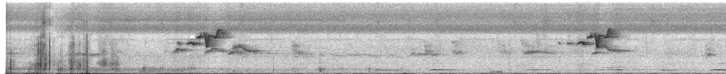 Isthmian Wren - ML630634920
