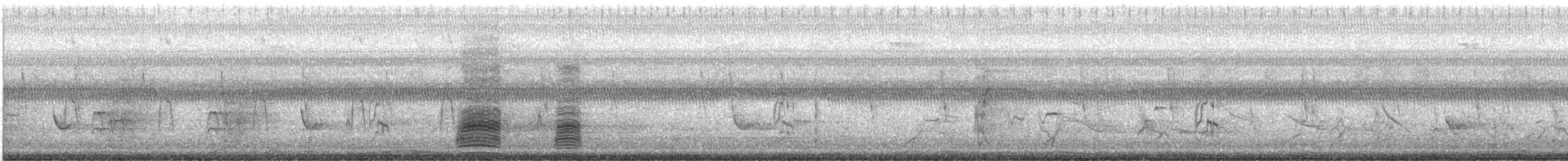 Blue-winged Teal - ML630636098