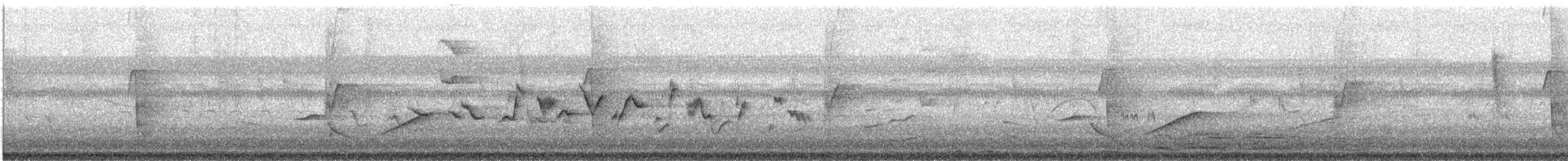 Gray-crowned Yellowthroat - ML630636623