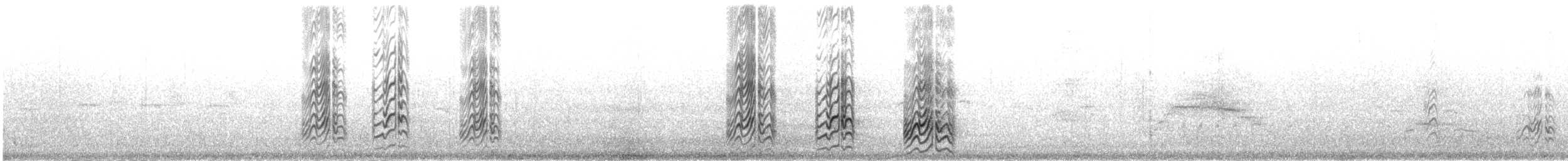 Sterna scura - ML630644585