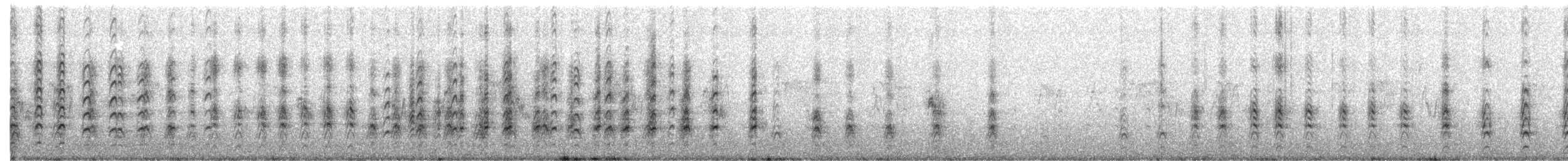 Black-necked Stilt - ML630646358