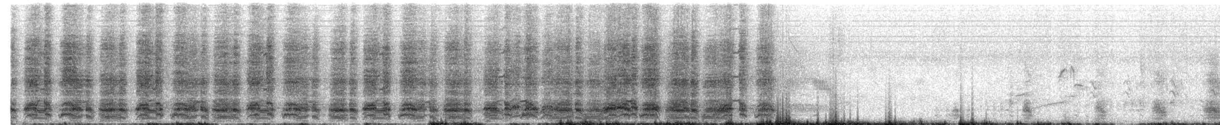 Speckled Chachalaca (Speckled) - ML630652526