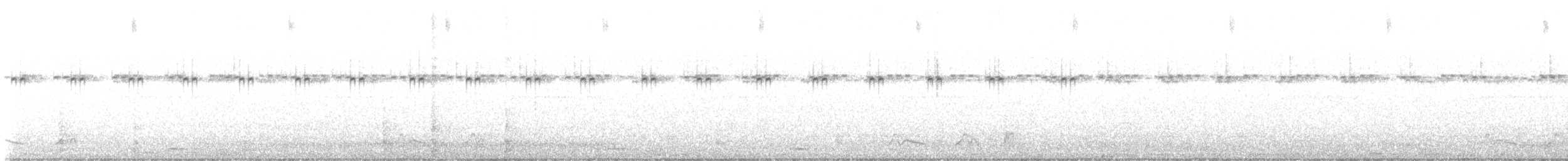 Chuck-will's-widow - ML630653762