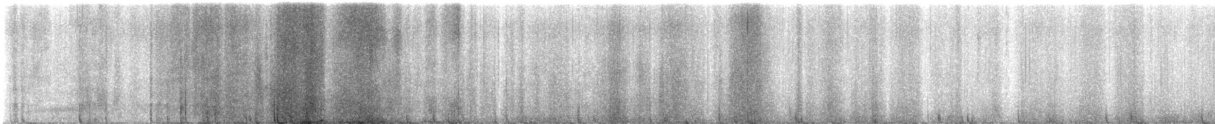 rapace sp. - ML630654115