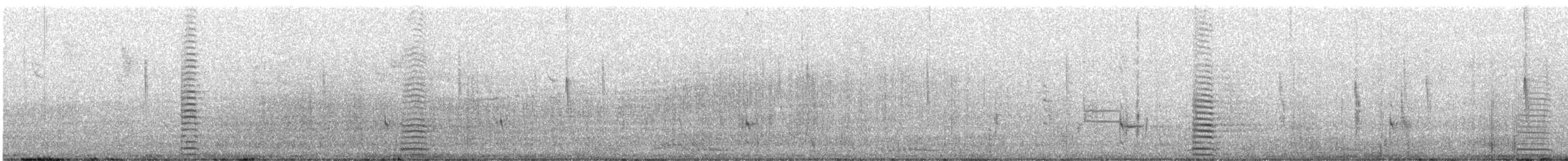 Cisne Trompetero - ML630660379