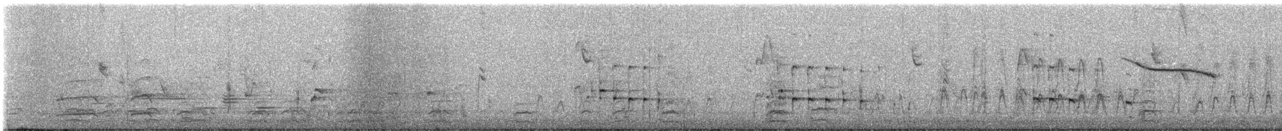 Pigargo Americano - ML630660384