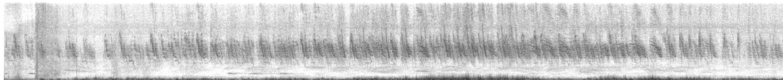 Streaked Weaver - ML630666100