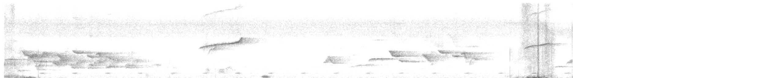 White-rumped Shama - ML630666209