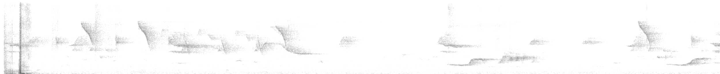 White-rumped Shama - ML630666210