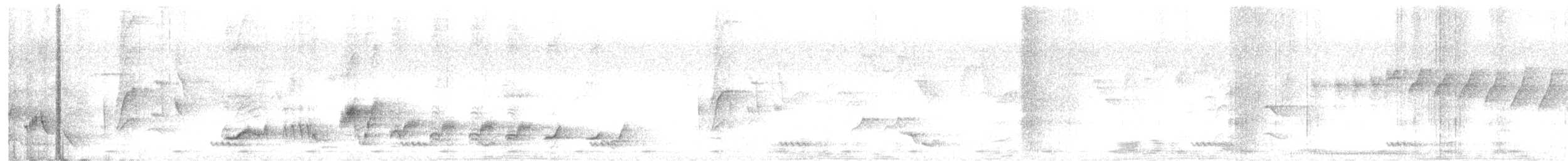 White-rumped Shama - ML630666211