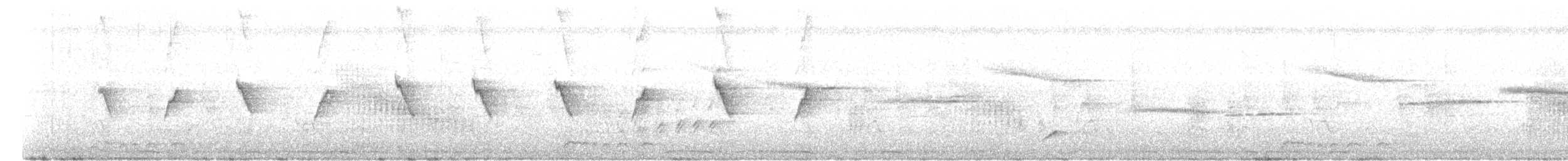 Suimanga Gorjipardo - ML630668909