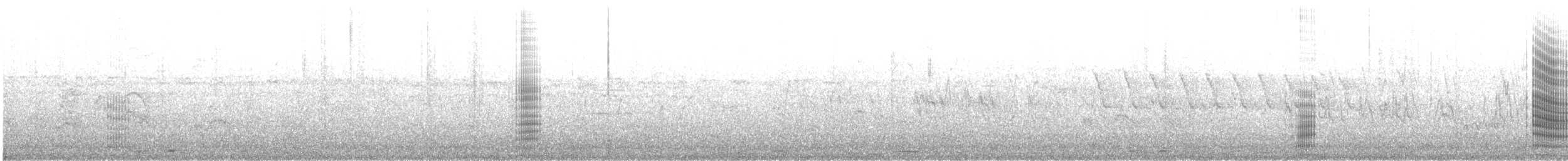 Neotropic Cormorant - ML630670126