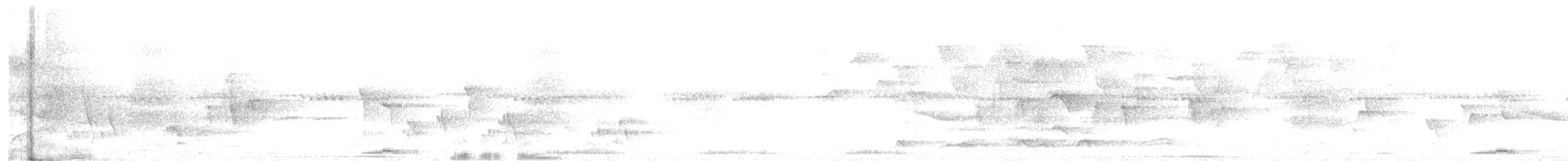 Green Imperial-Pigeon - ML630670437