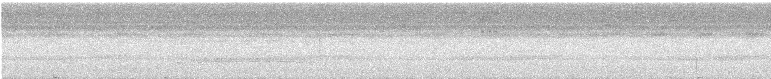 kentuckyparula - ML630680043