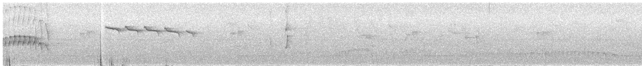 Southern Bristle-Tyrant - ML630684093