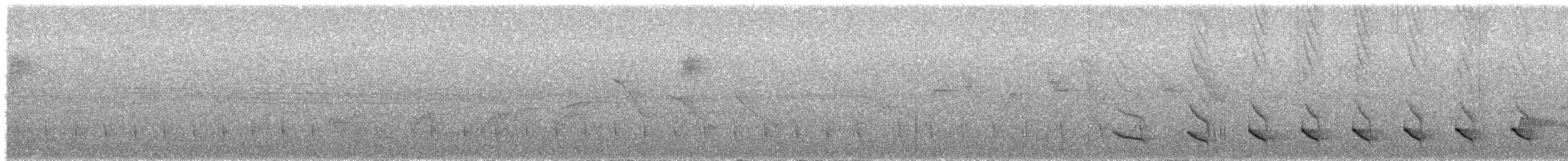 Serra Antwren (Serra) - ML630684230
