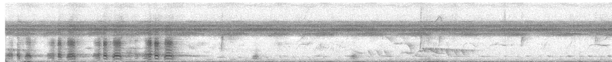 Speckled Chachalaca (Speckled) - ML630687534