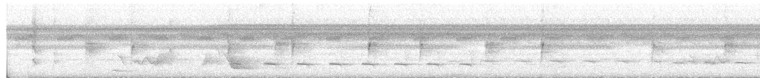 Sclater's Antwren - ML630687867