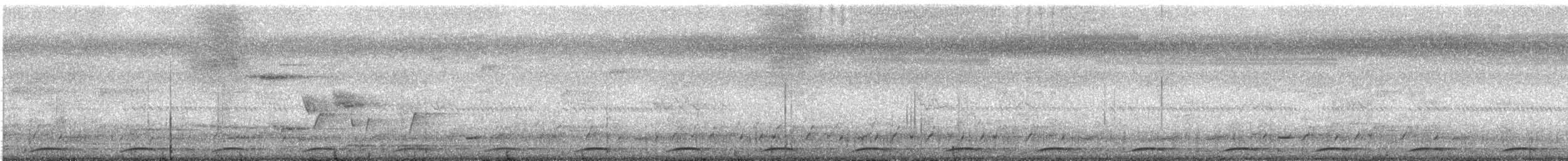 Wonga Pigeon - ML630688032