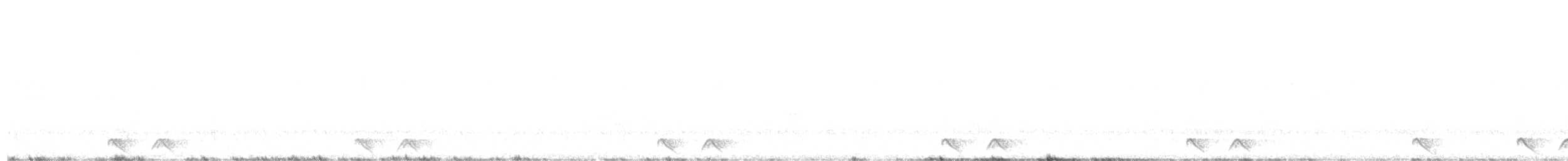 Freckled Nightjar - ML630692594