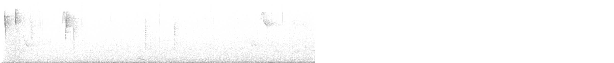 Colibri nain - ML630693842