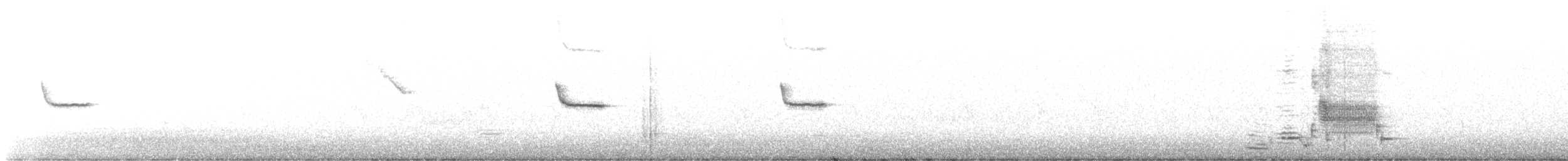 rødvingetrupial (phoeniceus gr.) - ML630694210