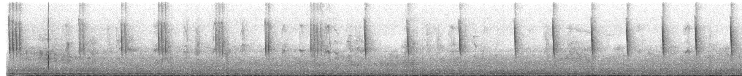White-vented Violetear - ML630697971