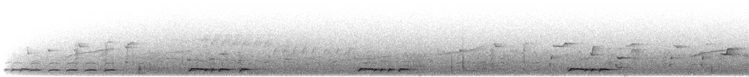 Zebra Dove - ML630702534