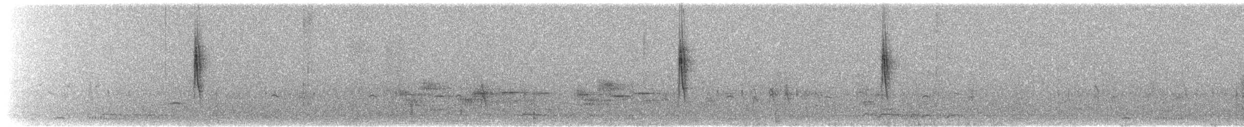 Paddyfield Pipit - ML630702877