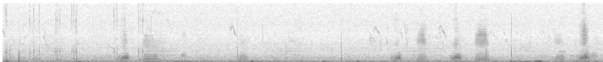 Oca indiana - ML630706664