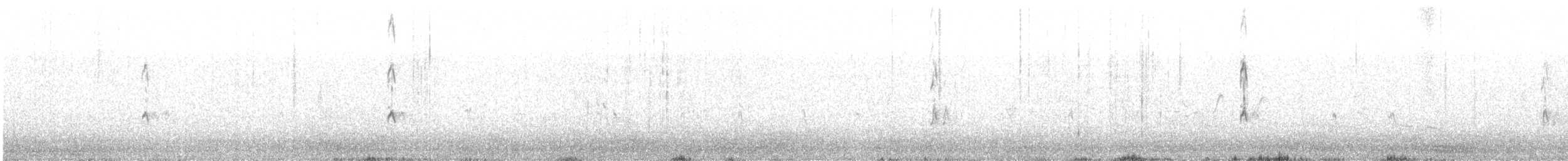 Avocette élégante - ML630709482