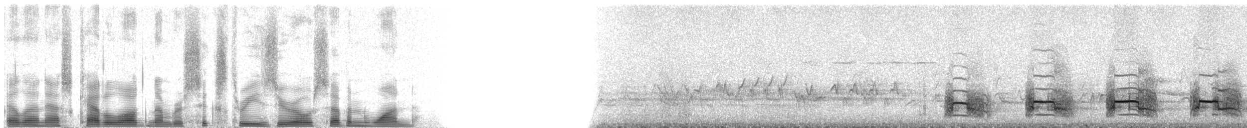 Дятел-смоктун сосновий - ML63071