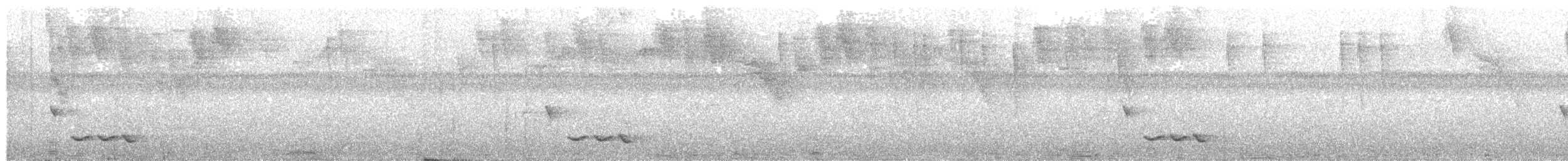 White-breasted Wood-Wren - ML630713680