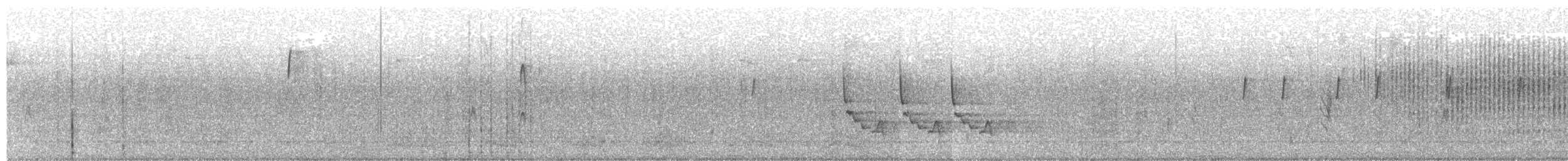 Carolina Wren - ML630726888