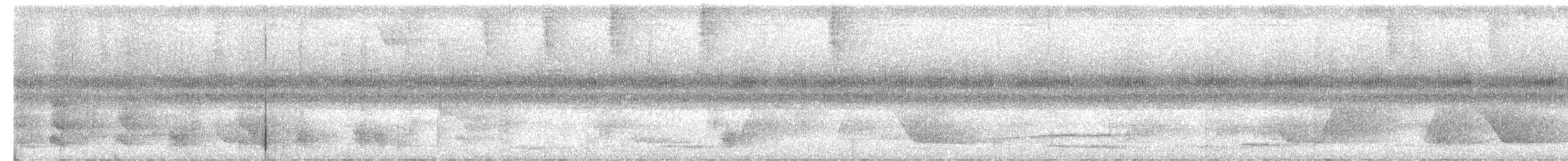 Gray Antbird - ML630733676