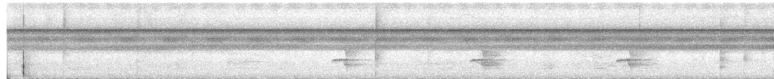 Tropical Royal Flycatcher - ML630733797