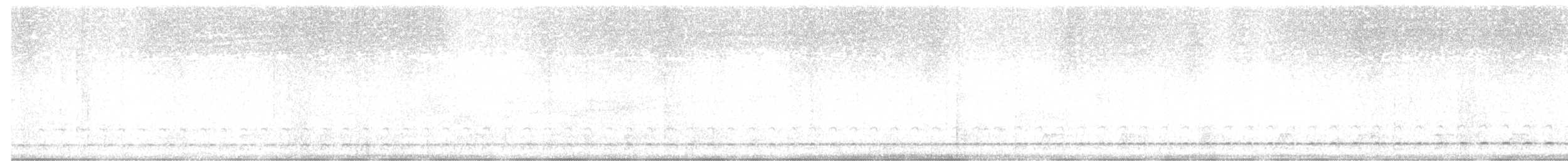 Schwartz's Antthrush - ML630747954