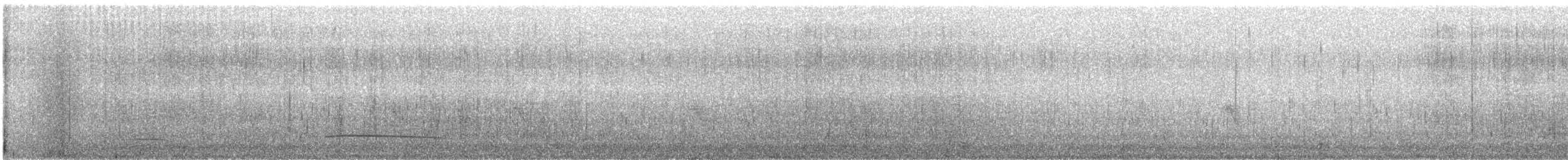 Black Scoter - ML630751564