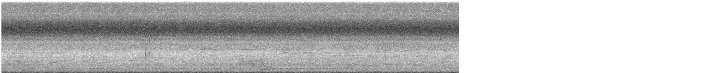 pigeon/dove sp. - ML630752149