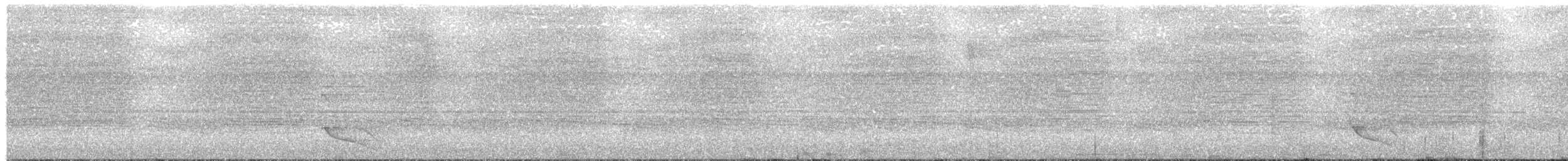 Ochre-bellied Flycatcher - ML630754770