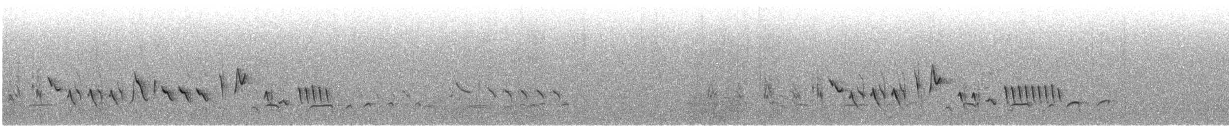 Southern House Wren - ML630754799