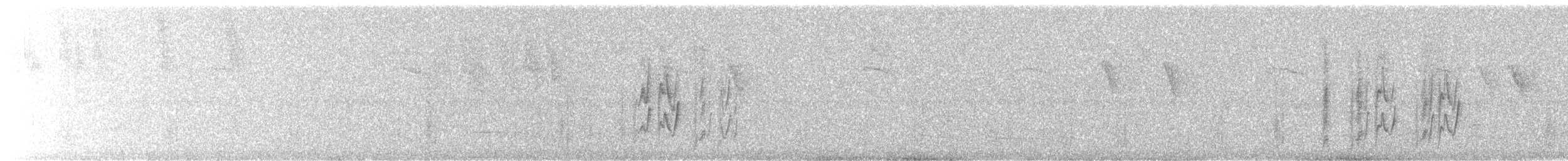 White-eared Monarch - ML630763973