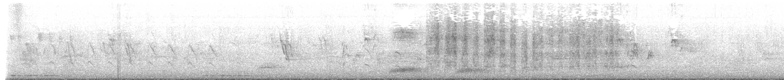 Huppe fasciée - ML630769607