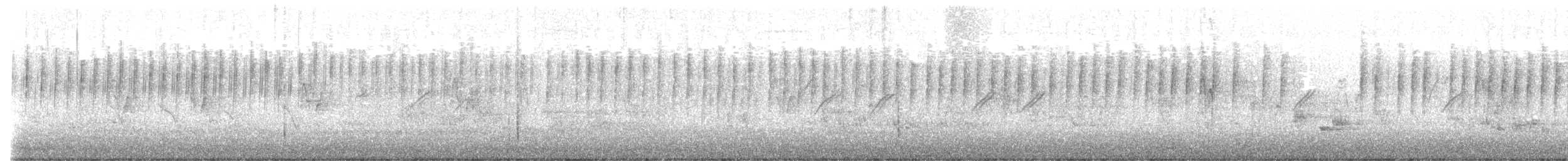 Prinia délicate - ML630769648