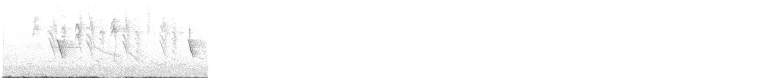 Tumbesschnäppertyrann - ML630769863