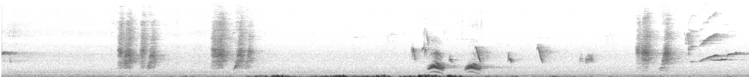 Greater Racket-tailed Drongo - ML630772196