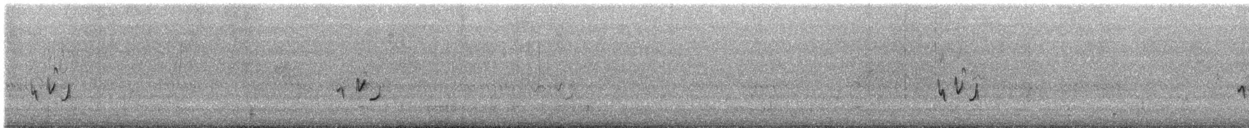 Stubble Quail - ML630774727