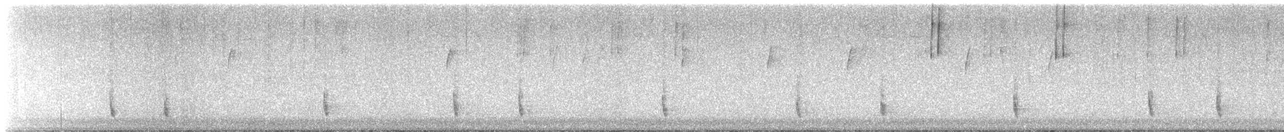 Hermit Thrush - ML630779210